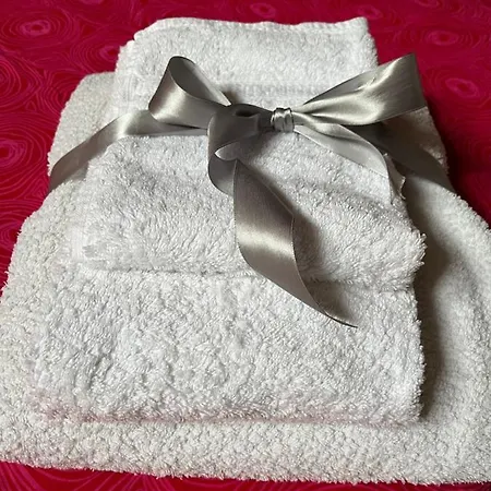 Apartment Loft Albinelli Wi-fi E Parcheggio Gratis In Centro *